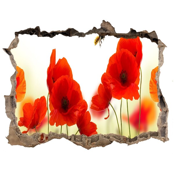 Fali matrica lyuk a falban Virágparadicsom méhecskével