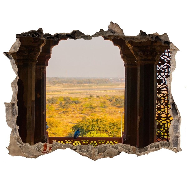 Fali matrica lyuk a falban Agra fort, india