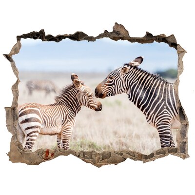 Fali matrica lyuk a falban Zebrák a vadonban