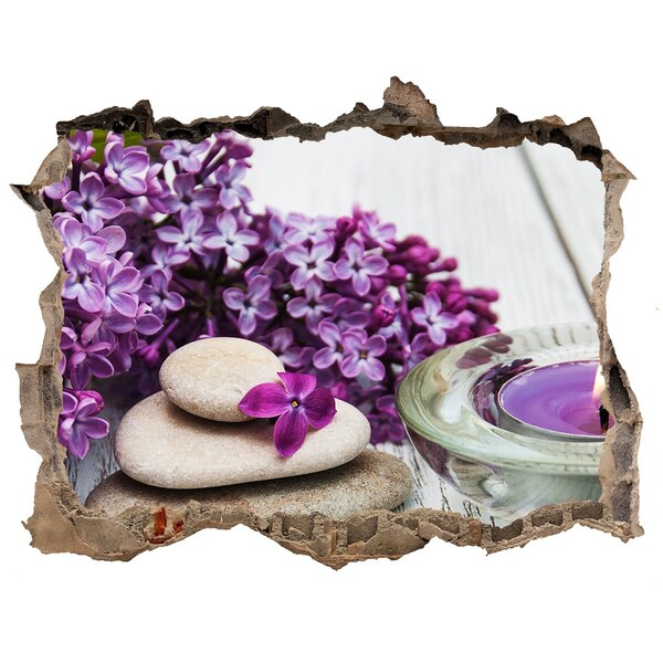 Fali matrica lyuk a falban A béke virágos oázisa