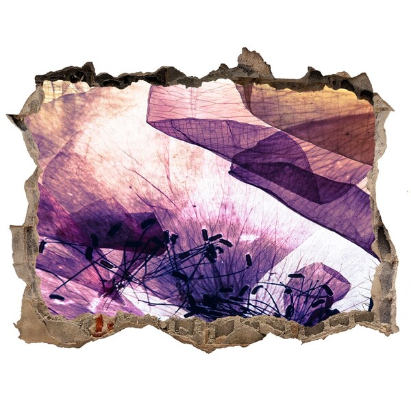 Fali matrica lyuk a falban A virágvilág a falak mögött