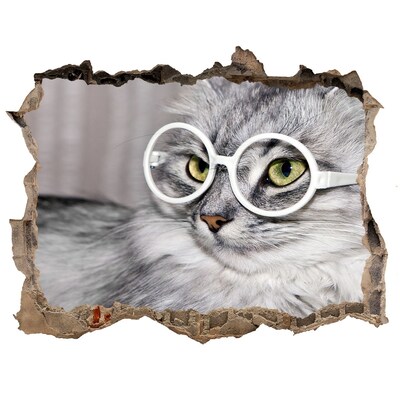 Fali matrica lyuk a falban Cat szemüveg
