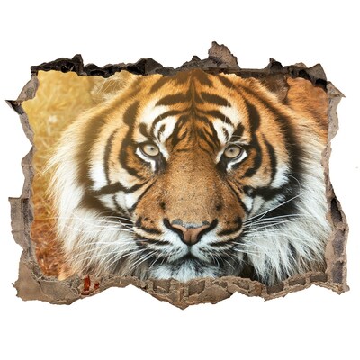 Fali matrica lyuk a falban Bengáli tigris