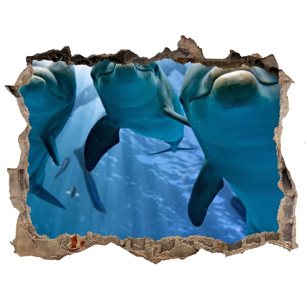 Fali matrica lyuk a falban Víz alatti világ delfinekkel