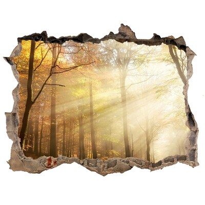 Fali matrica lyuk a falban Köd az erdőben