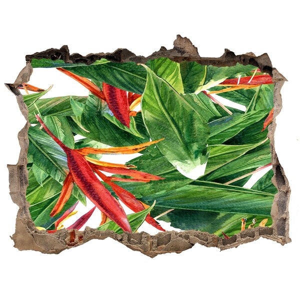 Fali matrica lyuk a falban Trópusi paradicsom a fal mögött