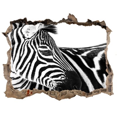 Fali matrica lyuk a falban Zebra egy lyukban a falban