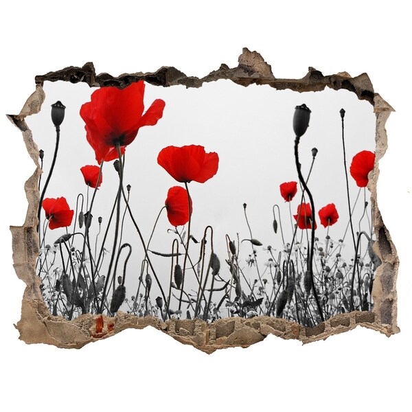 Fali matrica lyuk a falban Virágok a romokban