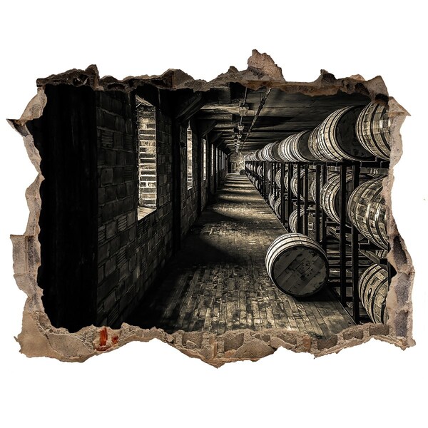 Lyuk 3d fali matrica A hordós pince belseje