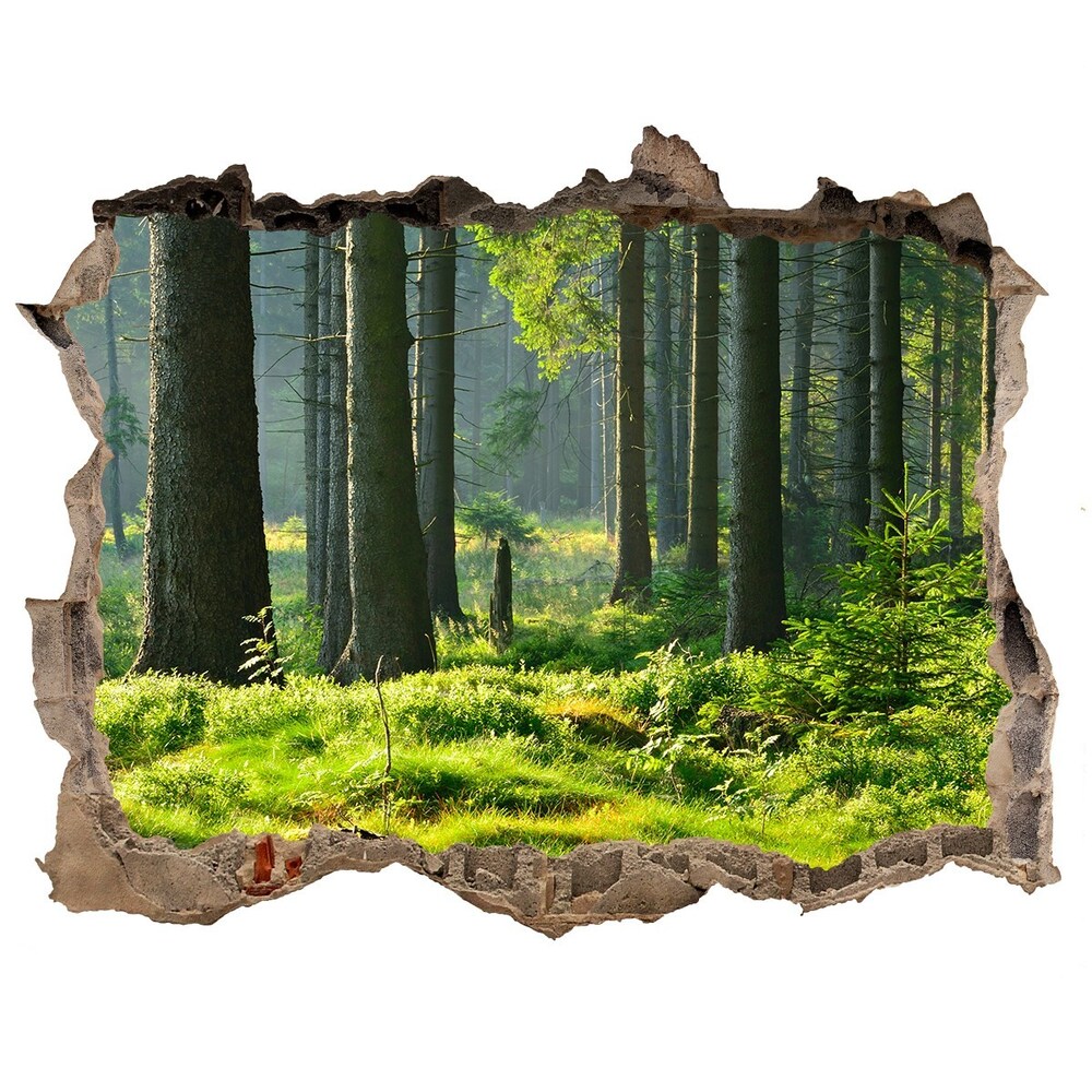 Lyuk 3d fali matrica Lucfenyőerdő