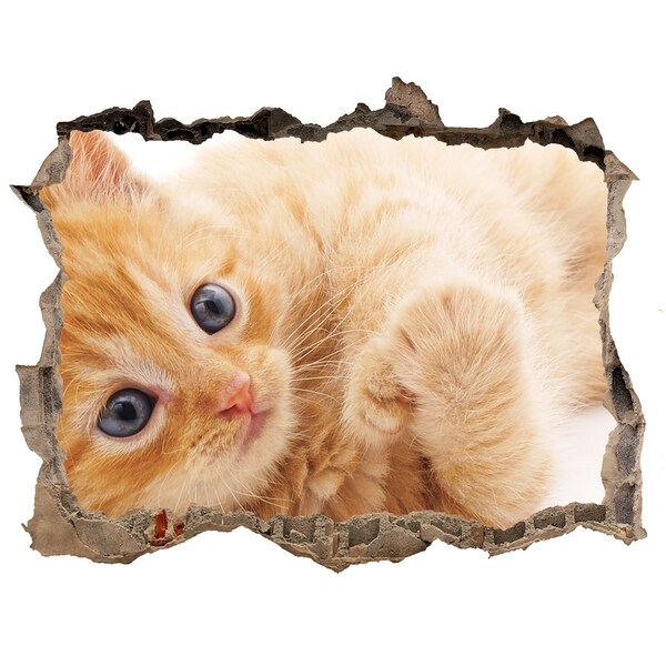 Lyuk 3d fali matrica Macska egy lyukban a falban