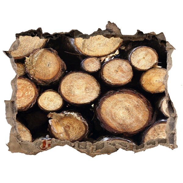 Lyuk 3d fali matrica Fa a falban lévő lyukban