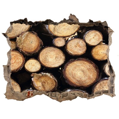 Lyuk 3d fali matrica Fa a falban lévő lyukban