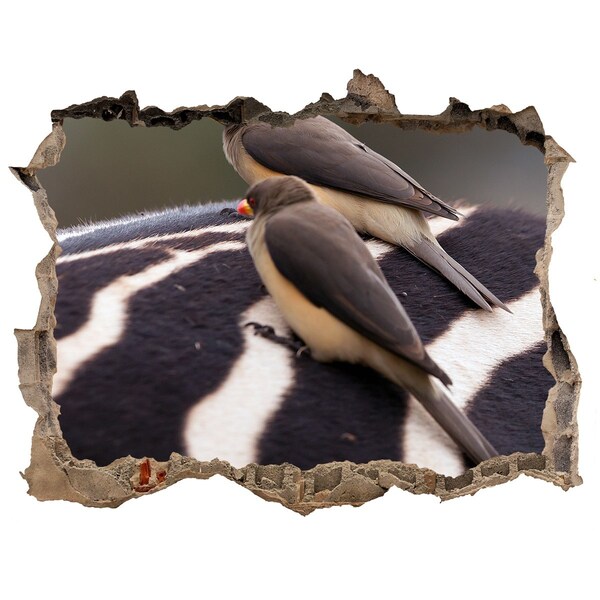 Lyuk 3d fali matrica Madarak a zebra hátán