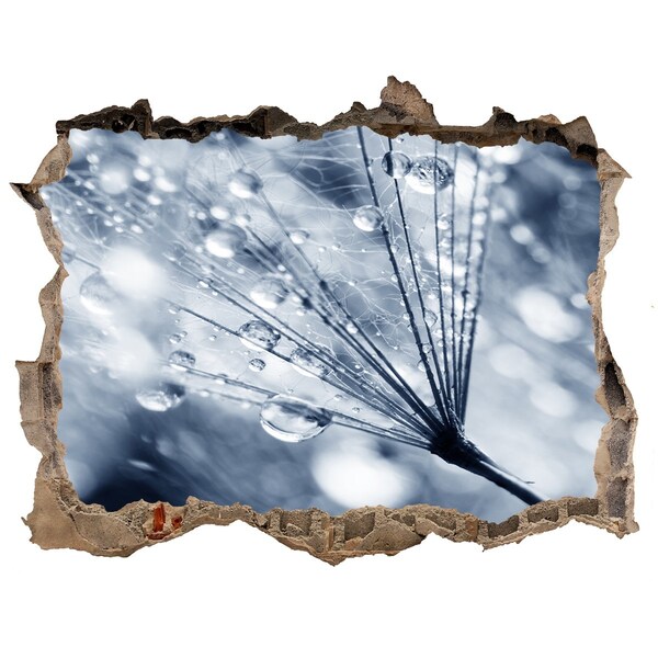 Lyuk 3d fali matrica Harmatcseppek a pitypangon