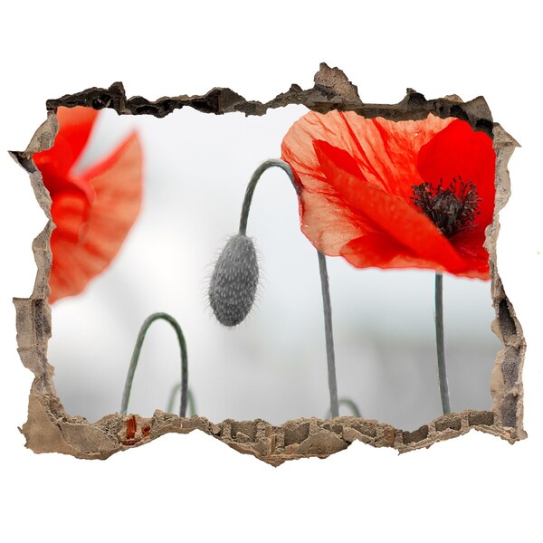 Lyuk 3d fali matrica Virágok egy lyukban a falban