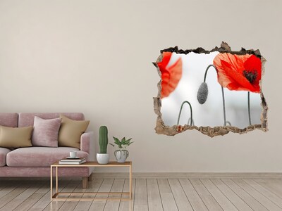 Lyuk 3d fali matrica Virágok egy lyukban a falban