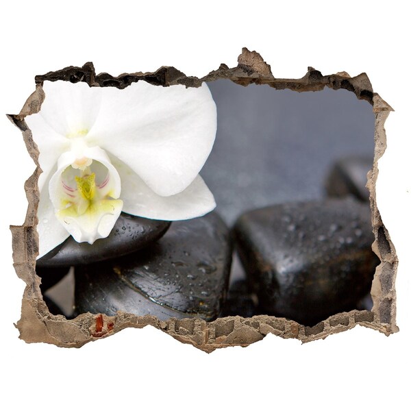 Lyuk 3d fali matrica Virágok és kövek a gyógyfürdőben