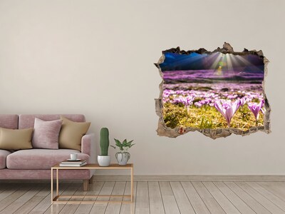 Lyuk 3d fali matrica Virágos mező a napsütésben