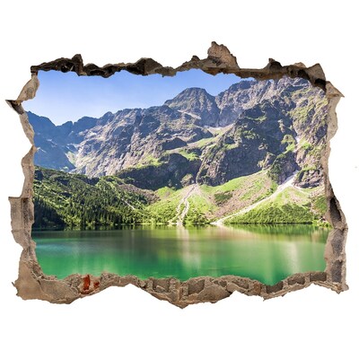 Lyuk 3d fali matrica Marine szem tatry