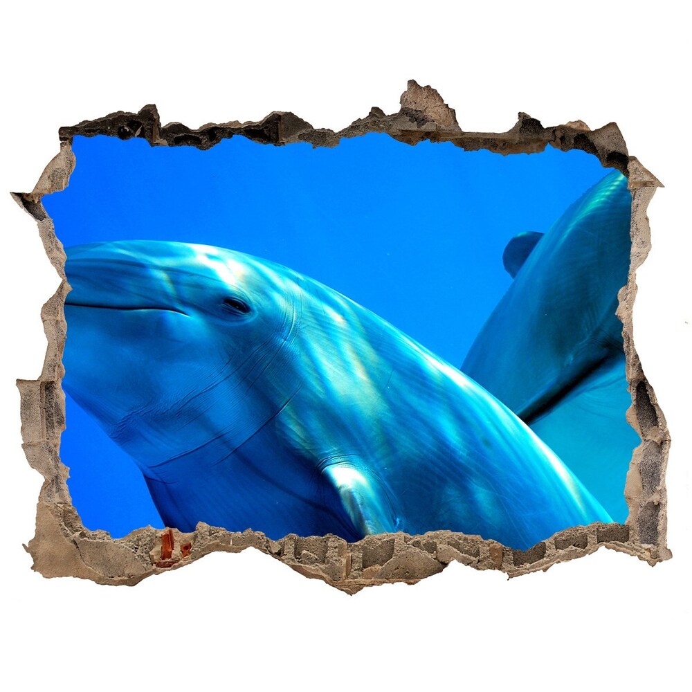 Lyuk 3d fali matrica Két delfin