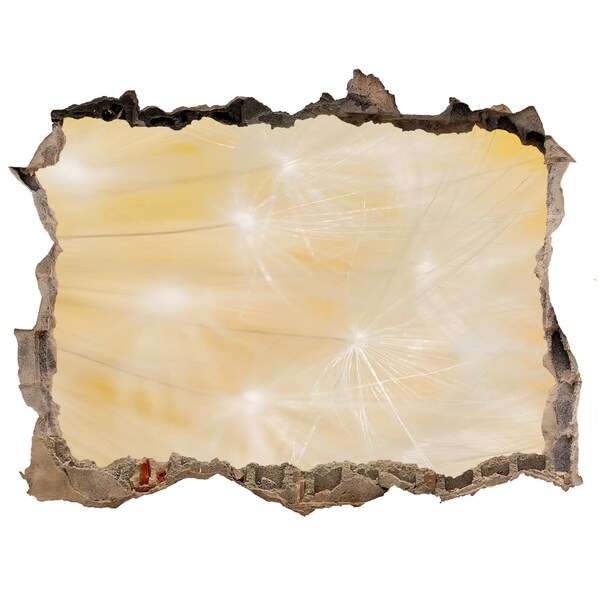 Lyuk 3d fali matrica Virágos tér a fal mögött