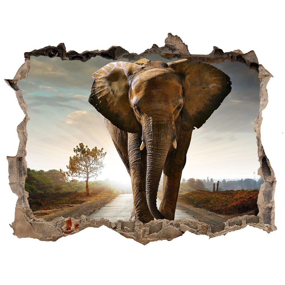 Lyuk 3d fali matrica Séta elefánt