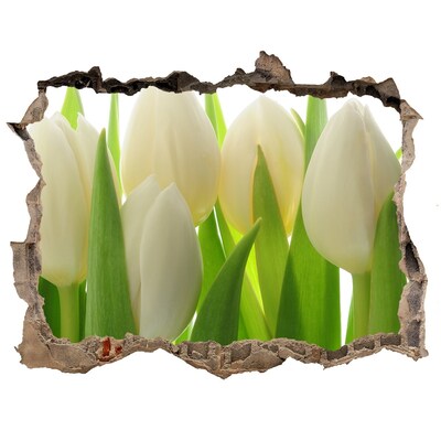 Lyuk 3d fali matrica Tulipánok a napfényben