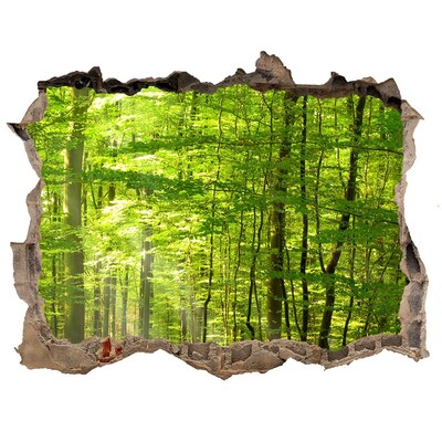 Lyuk 3d fali matrica Lombhullató erdő