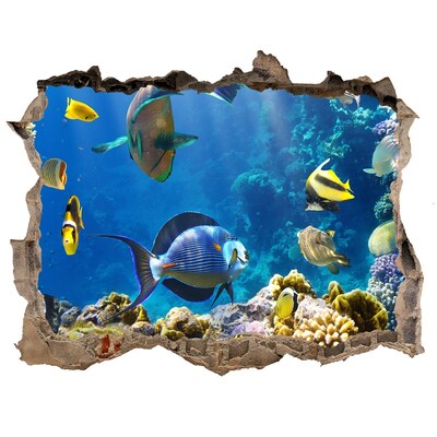 Lyuk 3d fali matrica Korallzátony