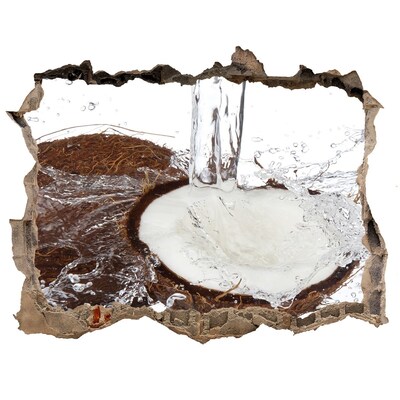 Lyuk 3d fali matrica Kókuszdió a vízsugárban