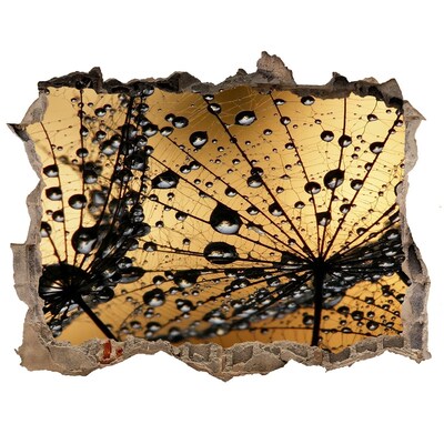 Lyuk 3d fali matrica Cseppek a leveleken