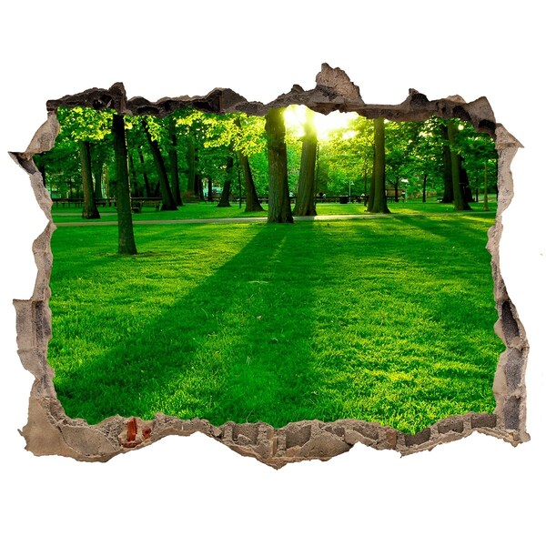Lyuk 3d fali matrica Zöld park a napsütésben