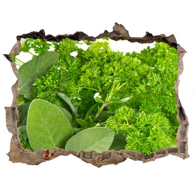 Lyuk 3d fali matrica Egy zöld oázis betonban