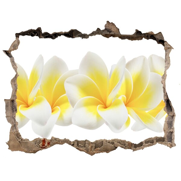 Lyuk 3d fali matrica Plumeria