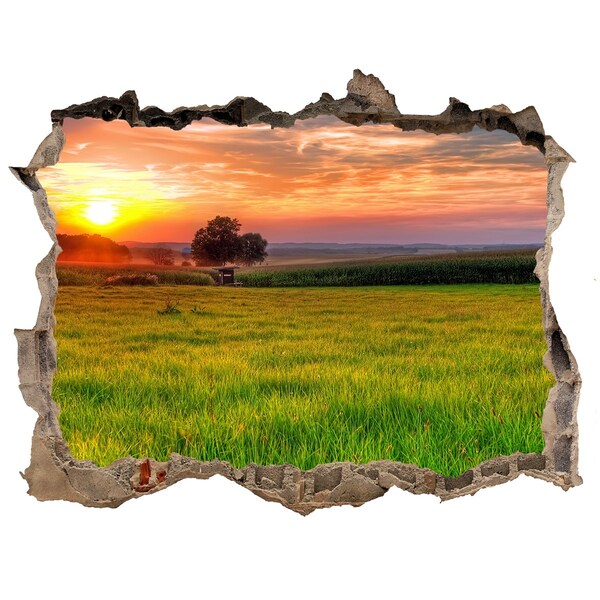 Lyuk 3d fali matrica Sunset meadow