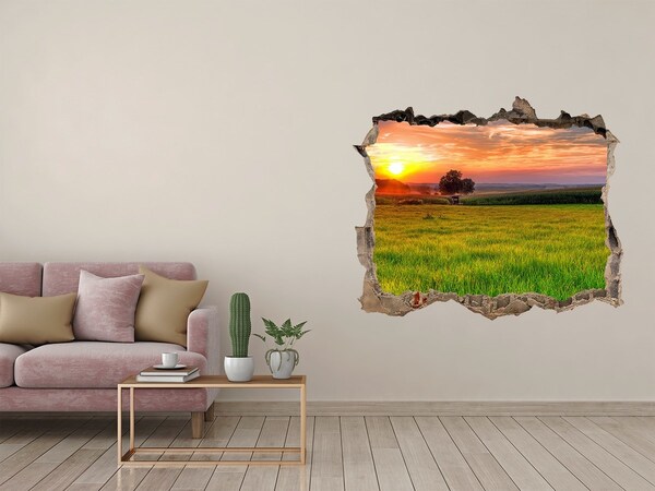 Lyuk 3d fali matrica Sunset meadow