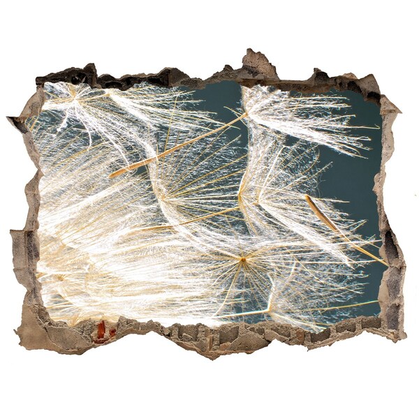 Lyuk 3d fali matrica Virágos táj a lyuk mögött