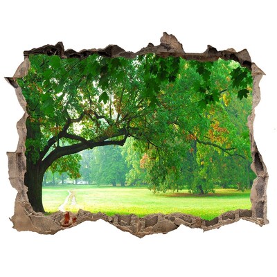 Lyuk 3d fali matrica Zöld park a napsütésben