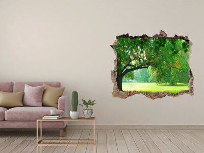 Lyuk 3d fali matrica Zöld park a napsütésben