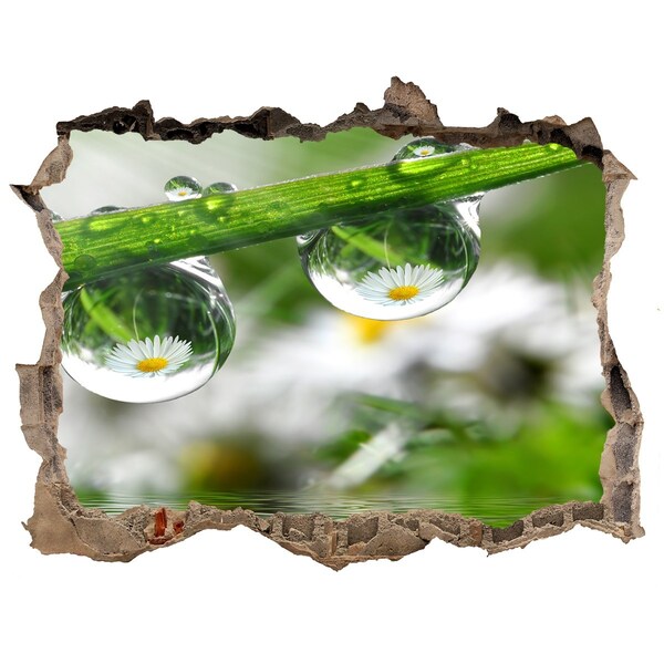 Lyuk 3d fali matrica Virágos oázis vízcseppekkel