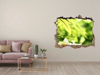 Lyuk 3d fali matrica Egy virág a zöld kertben