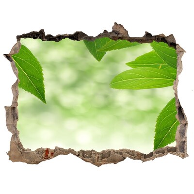 Lyuk 3d fali matrica Zöld levelek