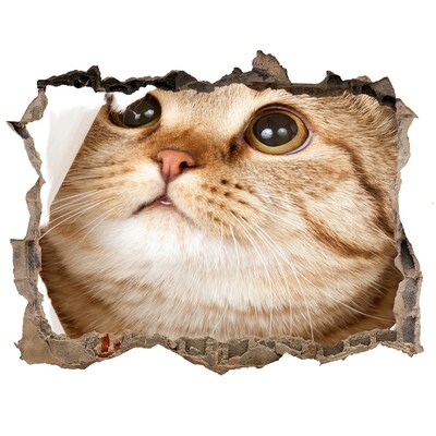 3d-s lyukat fali matrica Macska egy lyukban a falban