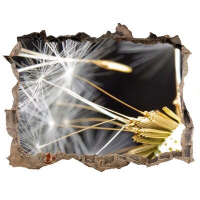 3d-s lyukat fali matrica Virágálom egy lyukon keresztül a falon