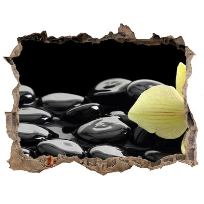 3d-s lyukat fali matrica Pihenjen a gyógyfürdőben