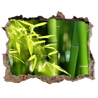 3d-s lyukat fali matrica Zöld bambuszerdő