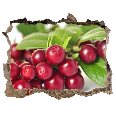 3d-s lyukat fali matrica Gyümölcsös lyuk a falban