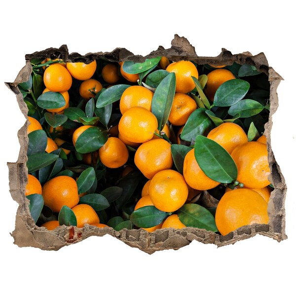 3d-s lyukat fali matrica Gyümölcs a narancsos kertben