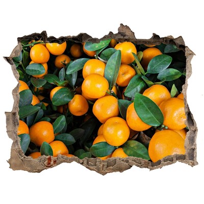 3d-s lyukat fali matrica Gyümölcs a narancsos kertben